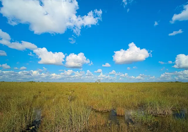 Sawgrass marsh and shallow water seen from the Pa-hay-okee trail in Everglades National Park, Florida