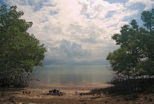 Beach along the Golden Orb Trail in Long Key State Park, Florida